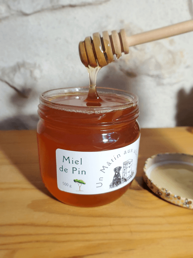 Miel de Pin 500g