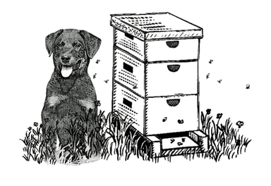 store_logo